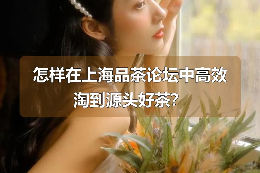 怎样在上海品茶论坛中高效淘到源头好茶？